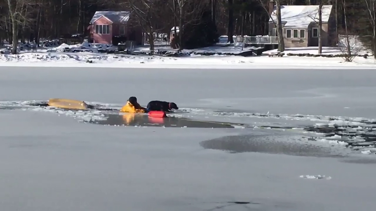 Man, dog rescued after falling through ice on Sterling pond