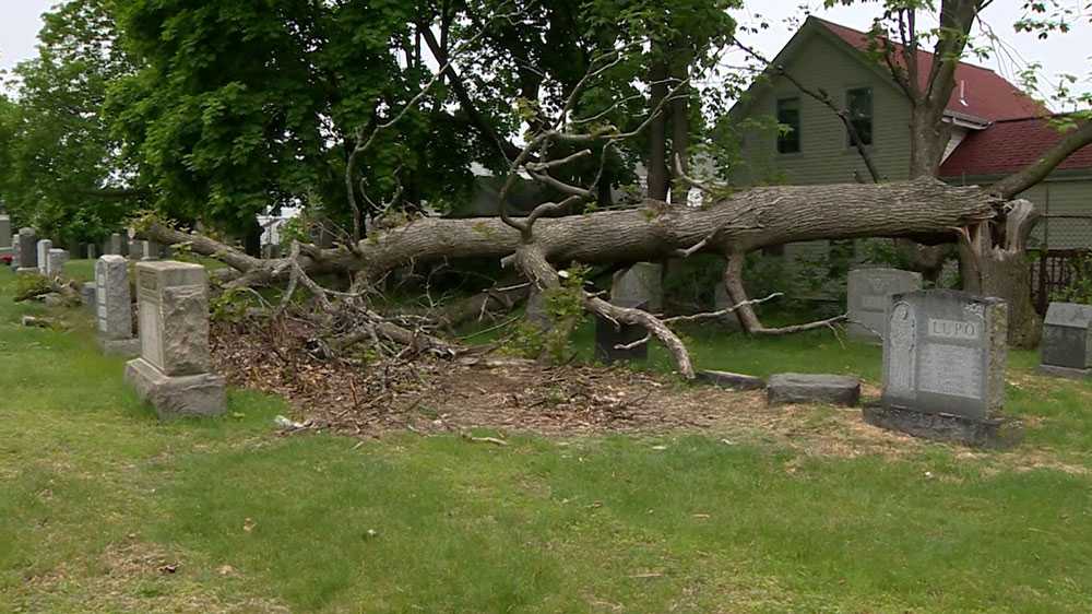 Downed tree at Mass. cemetery sat on burial plot for months