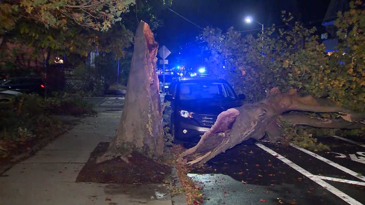 Powerful storm causes heavy tree damage in Massachusetts