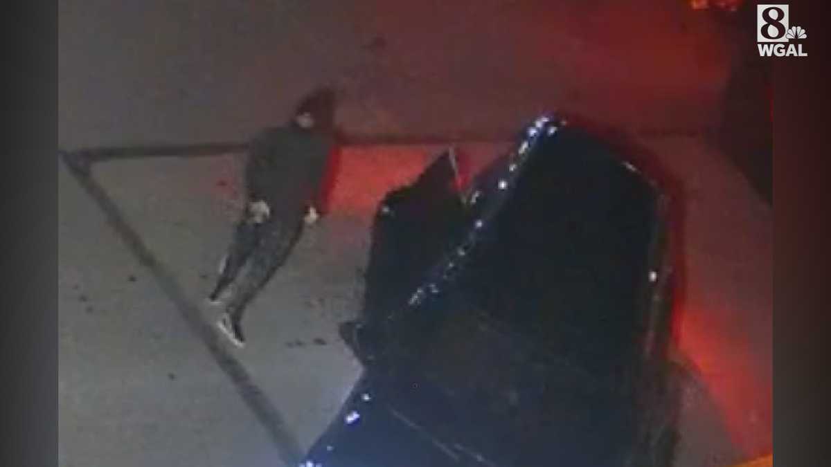 Police investigating catalytic converter theft in East Pete, Pa.