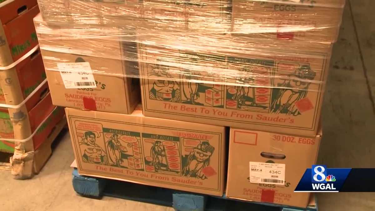 Central Pennsylvania Food Bank gets 50K eggs from Sauder's Eggs