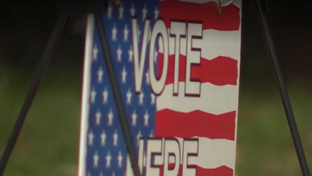 Greenville County Council District 20 candidates battle for votes
