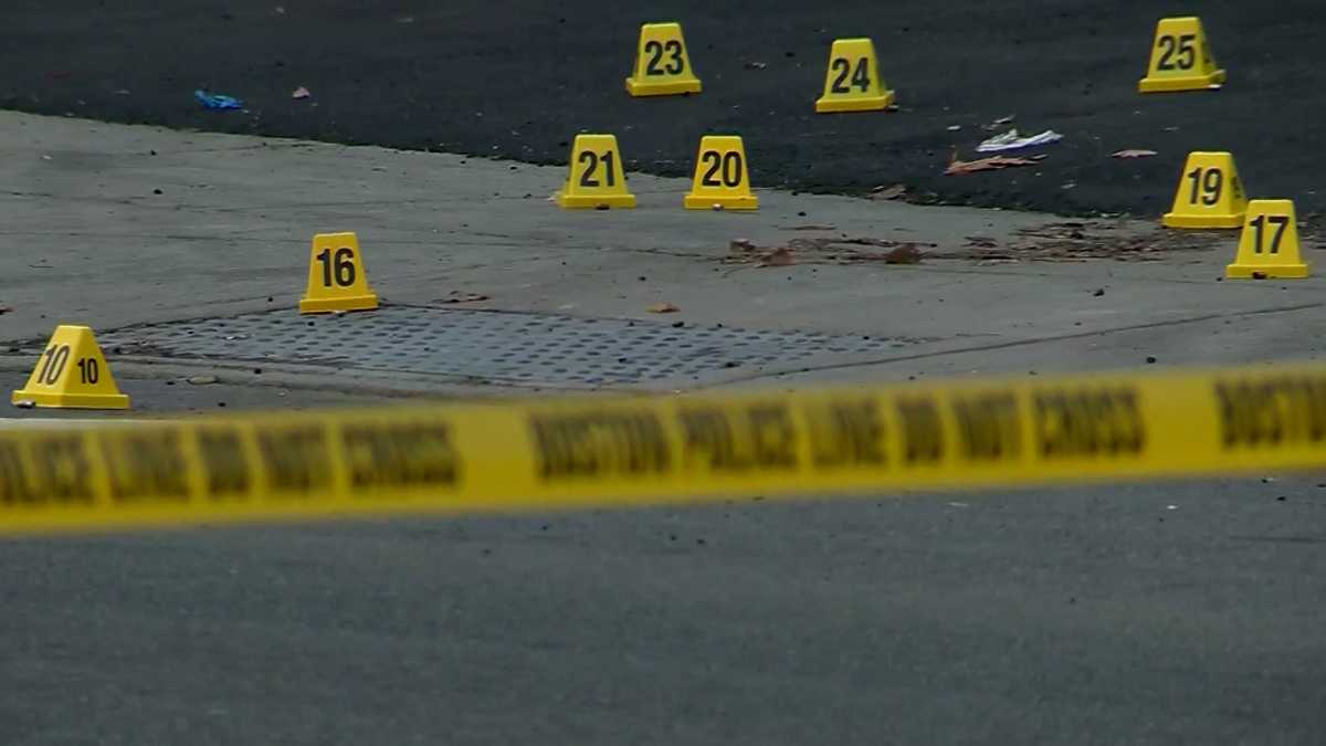 2 teens arrested in connection with shooting near Lee K-8 School