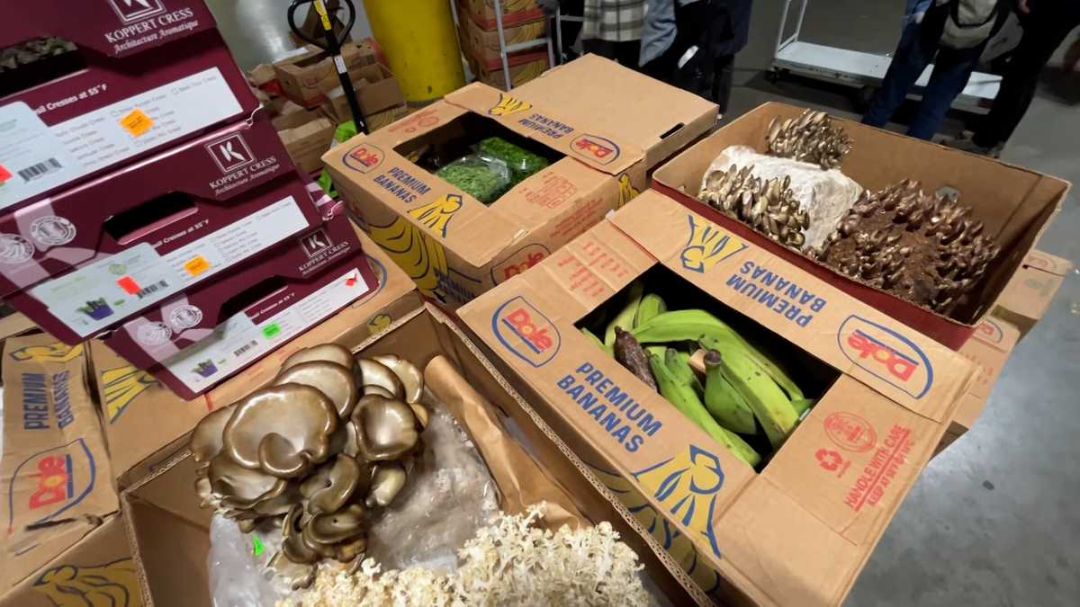 波士顿博览会多余的食物将捐给马萨诸塞州有需要的家庭
