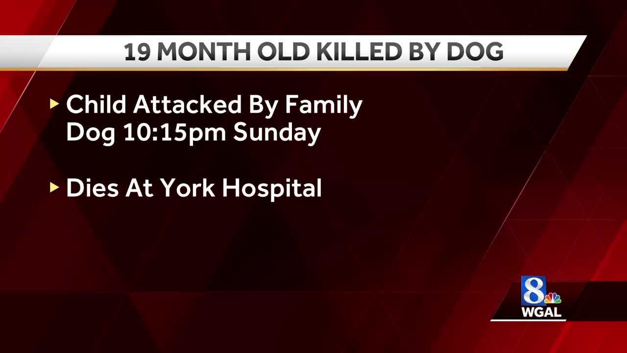 Update: Coroner Identifies Toddler Killed By Family Dog