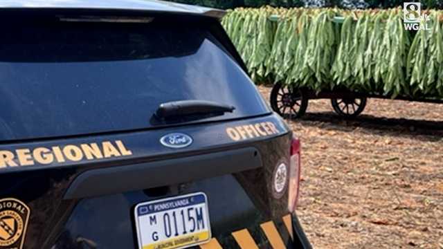 3-year-old killed on Lancaster County farm - Vimarsana News