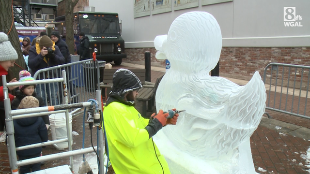 York ice festival canceled - Vimarsana News