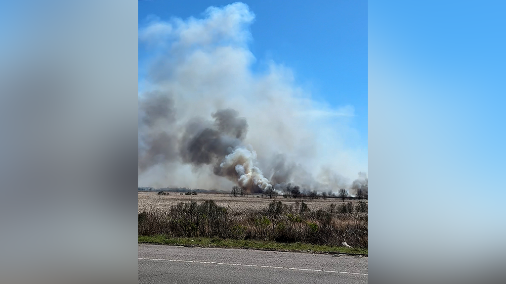 Fire near Georgia-South Carolina state line seen for miles - WJCL