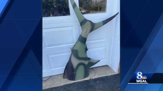 Woman looking for owner of fish tail found in Lancaster County