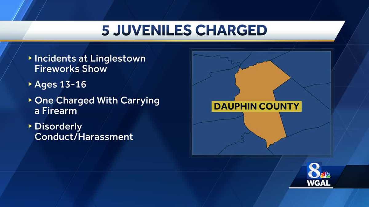 5 teens arrested at fireworks show in Dauphin County, Pa.