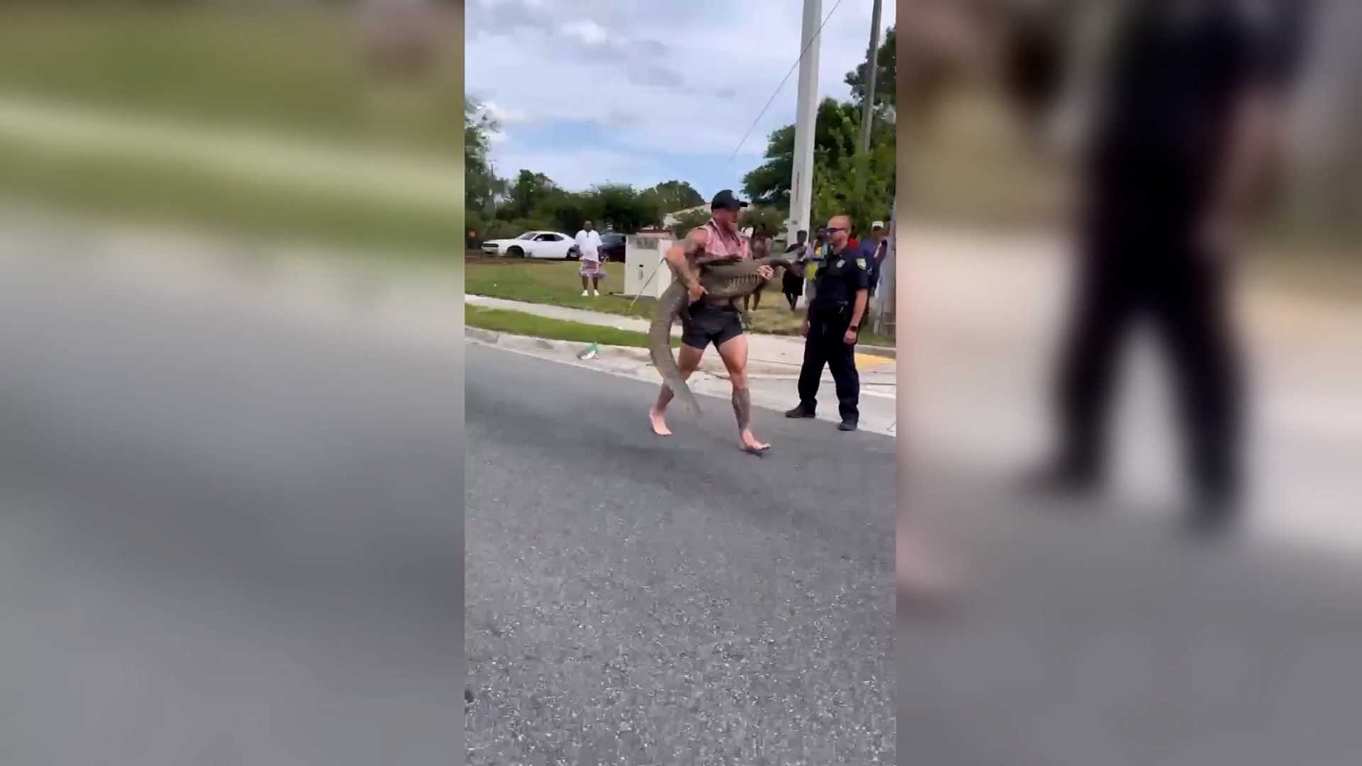 Florida man wrestles gator off the road - Vimarsana News