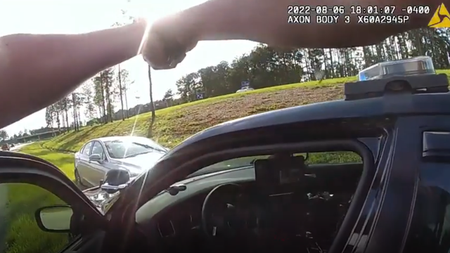 Georgia: Women jailed on multiple charges after police chase - Vimarsana News
