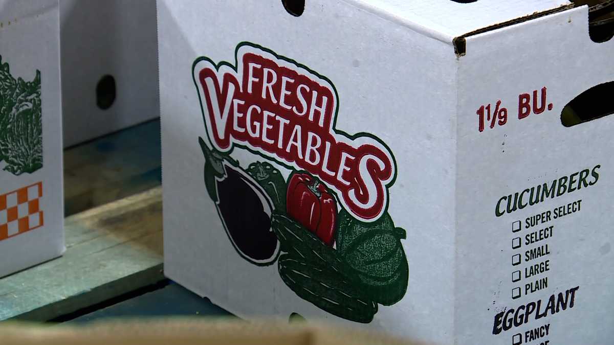 Maine food pantries, anti-hunger programs to receive $1.25M with SNAP suspension looming