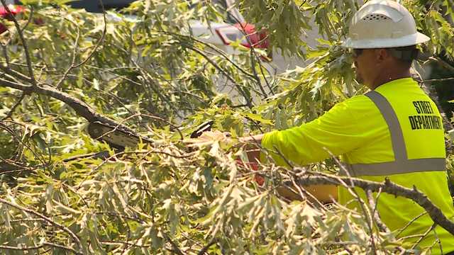 Fort Smith cleans up ahead of next round of storms - Vimarsana News
