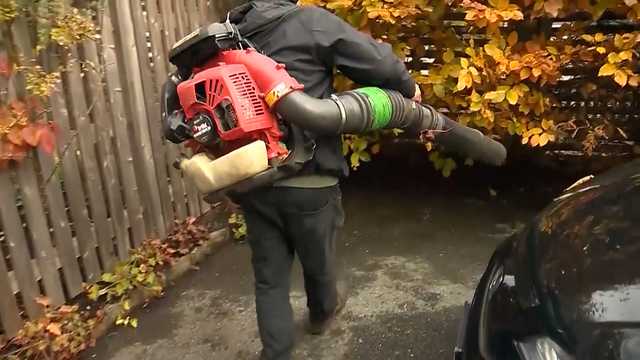 Lexington's ban on gas-powered leaf blowers creating debate - Vimarsana News