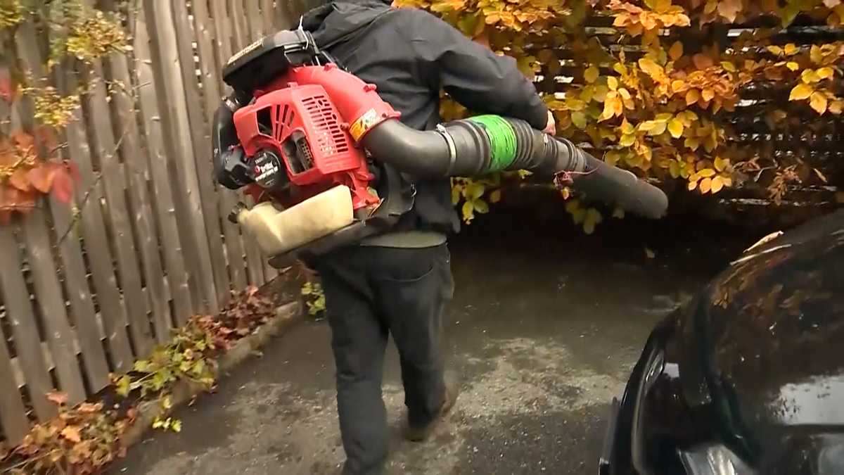 Lexington’s ban on gas-powered leaf blowers creating debate