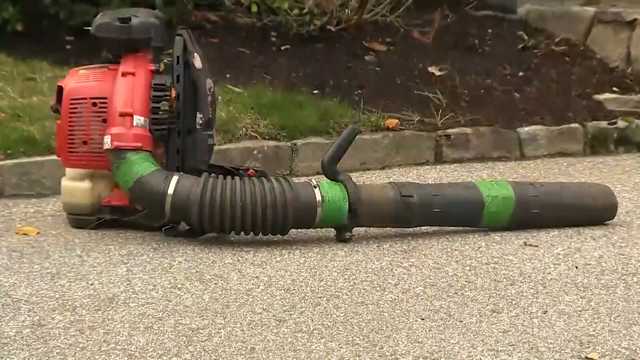 Lexington voters approve gas-powered leaf blower ban in Mass. town - Vimarsana News