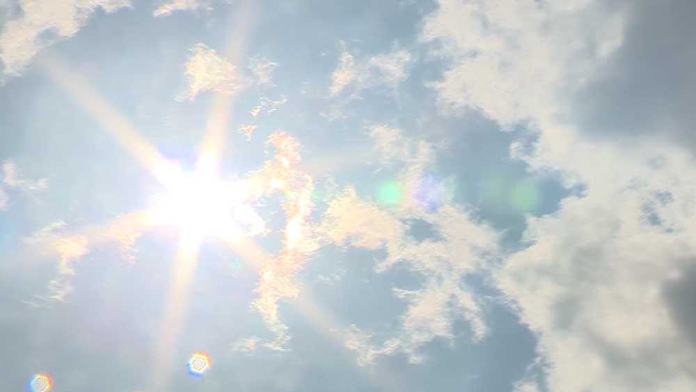 MIT climate scientist urges action after hottest days on record - Vimarsana News
