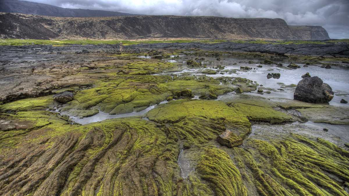 hawaii-volcanoes-national-park-is-home-to-some-of-the-world-s-most