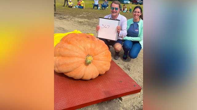 Pumpkin grown in Boston community garden weighs nearly 370 pounds - Vimarsana News