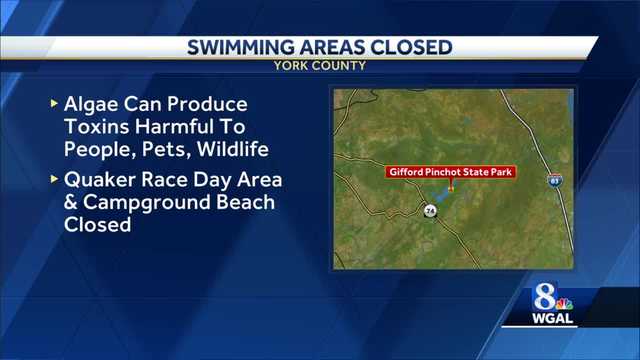 Some swimming areas are closed in Gifford Pinchot State Park - Vimarsana News