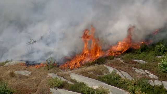 'Repeated problems' lead to second brush fire in 2 days on Cape Ann - Vimarsana News