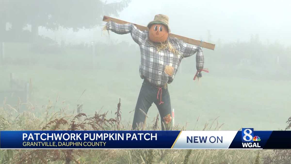Pa. pumpkin patch harvests some fall fun