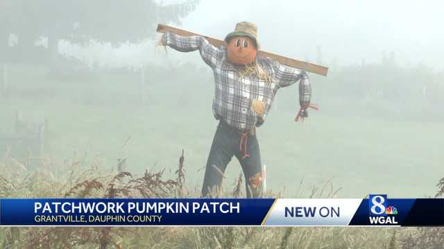 Pa. pumpkin patch harvests some fall fun - Vimarsana News