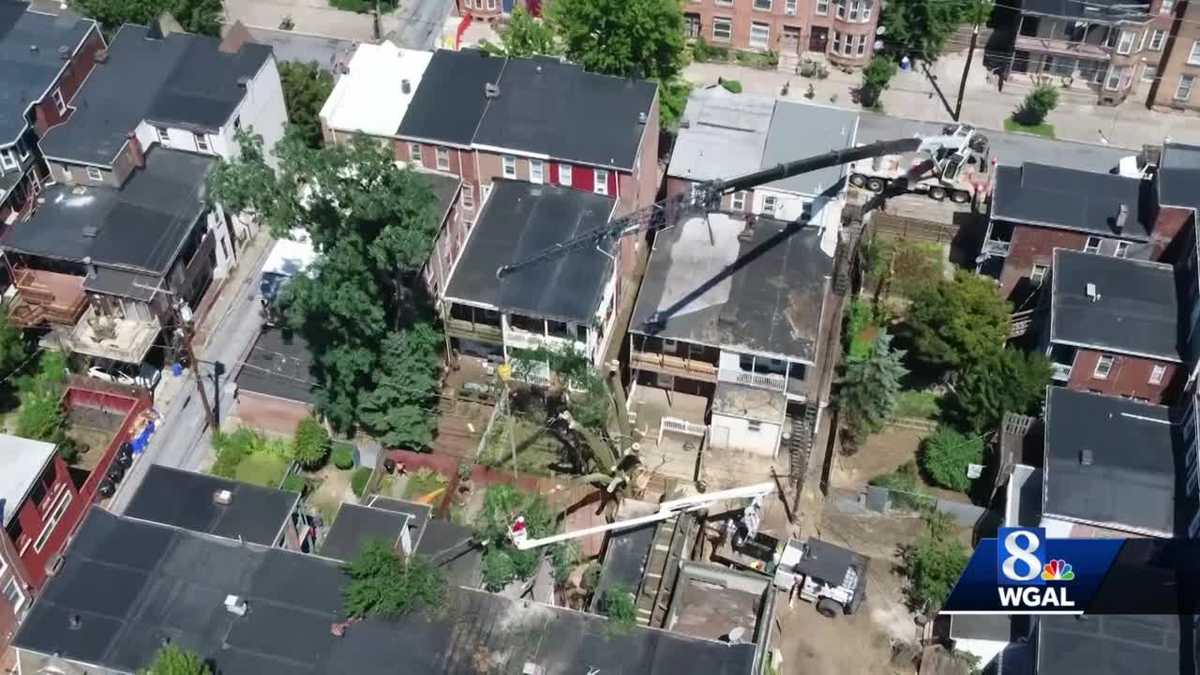 Removal of huge tree in Harrisburg is about halfway finished