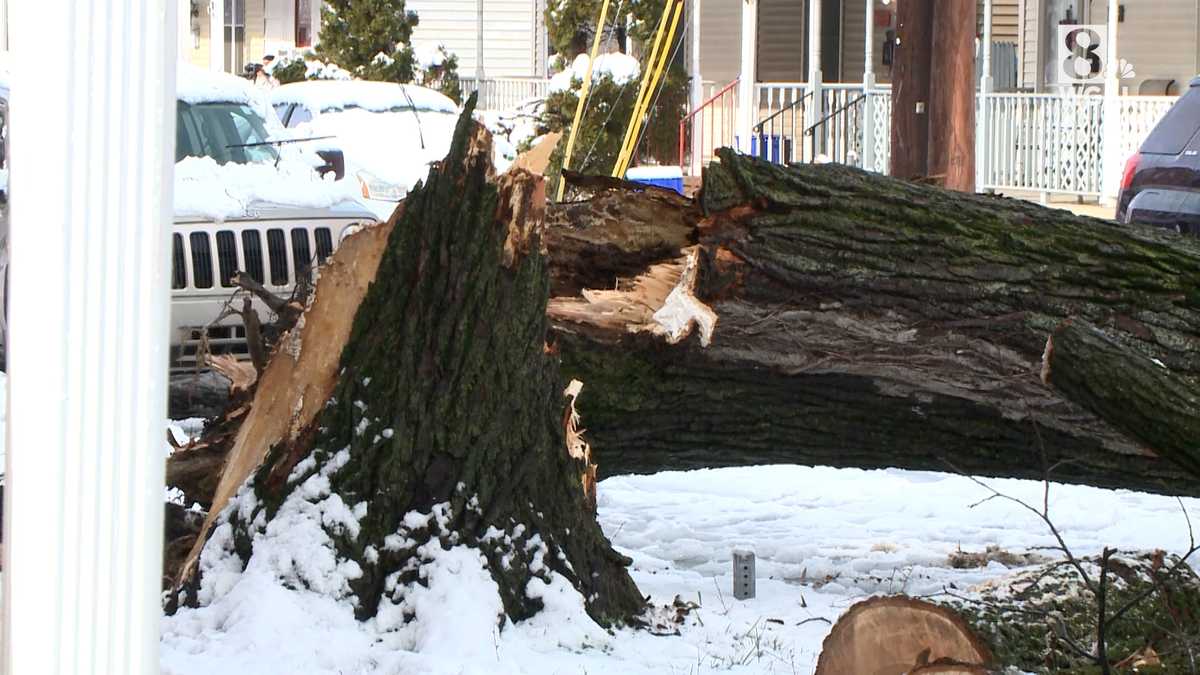 Winter storm update: Dozens of trees down in Harrisburg, Pa.