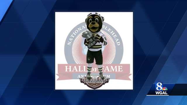 Coco the Bear Hershey Bears Mascot 2023 Calder Cup Champions Bobblehea –  National Bobblehead HOF Store