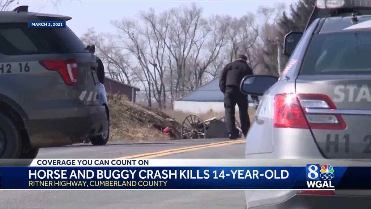 14-YEAR-OLD dies after horse and buggy crash in Cumberland County