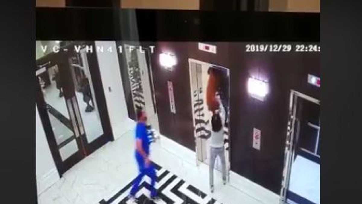 A Quick Thinking Doctor Saved A Dog Whose Leash Was Stuck In A