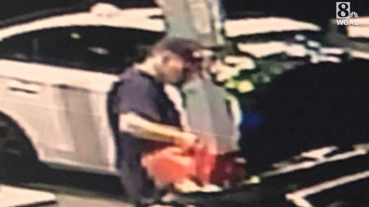 State police asking for help to identify theft suspect
