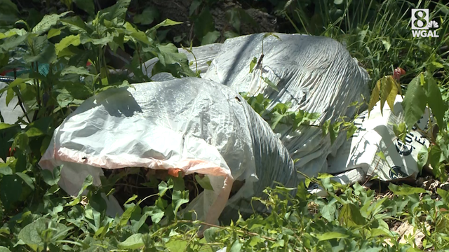 Harrisburg's fight against illegal dumping gets help from technology, residents - Vimarsana News
