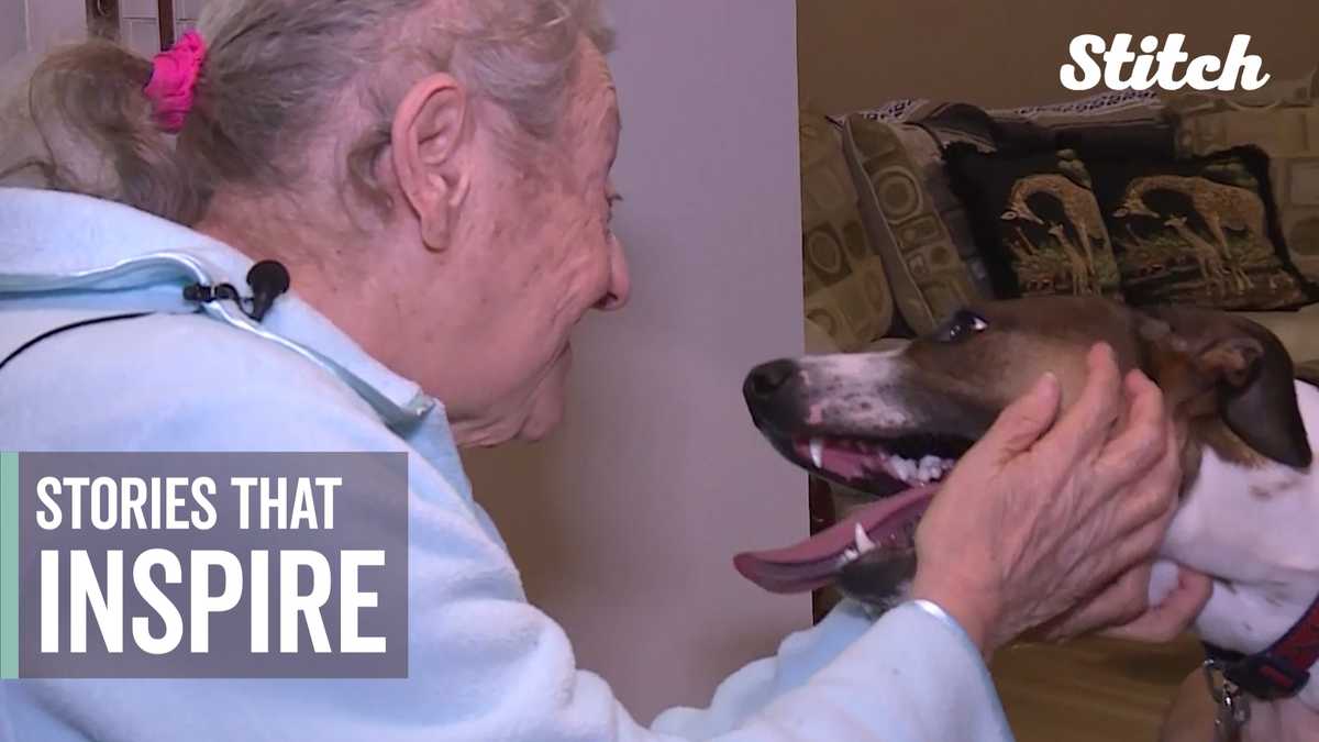 Here are the stories that inspired us this week - Was There A This Is Us This Week