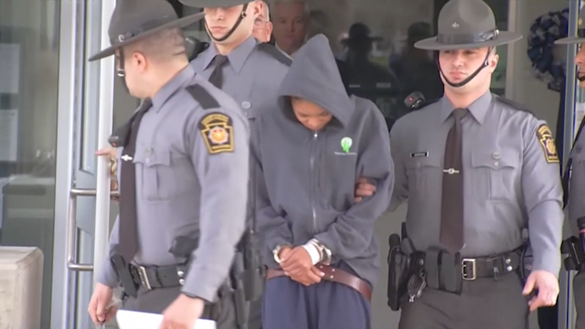 Woman charged in crash that killed 2 Pennsylvania state troopers, pedestrian - Vimarsana News