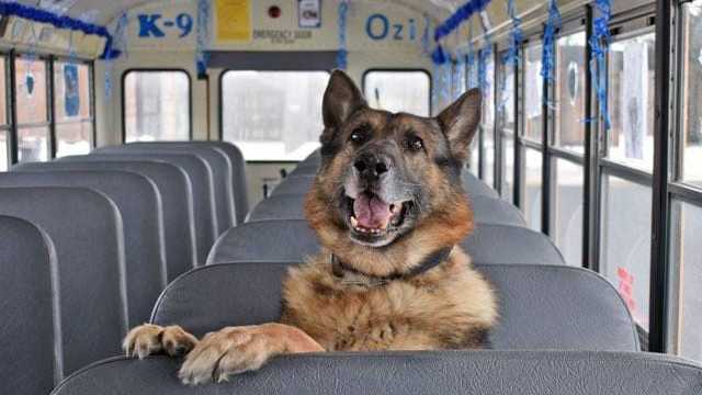 McSherrystown Police Department mourns loss of K-9 officer - Vimarsana News