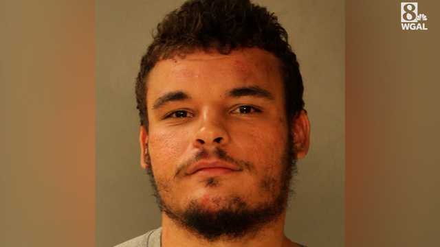 Lancaster, Pa., man fought officers after crash, police say - Vimarsana News