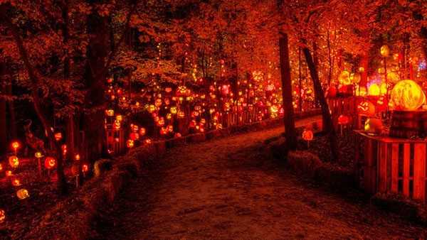 More than 5,000 jack-o'-lanterns illuminate this magical Kentucky trail