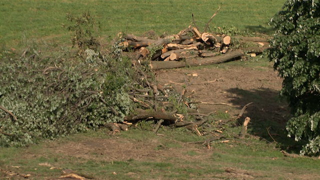 NWS: EF1 tornado touched down in Lancaster County - Vimarsana News