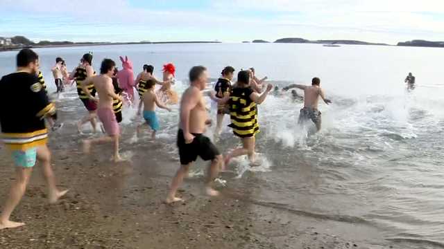 Dozens dash into chilly water for L Street Brownies polar plunge - Vimarsana News