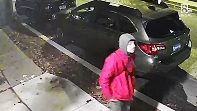 Police seek man accused of kicking dog in Lancaster, Pa. - Vimarsana News