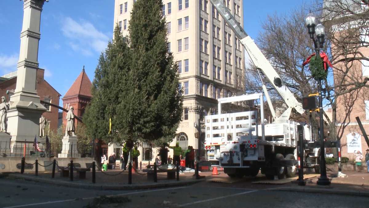 Christmas tree arrives in Lancaster