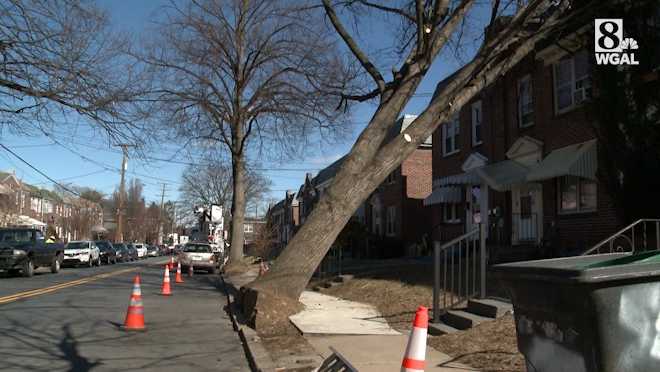 4 displaced after tree falls on Lancaster home