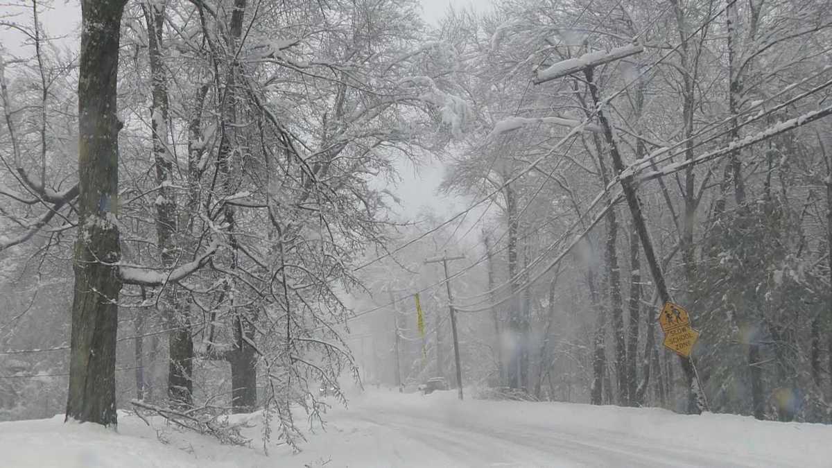 Nearly every customer in Lunenburg loses power amid heavy, wet snow