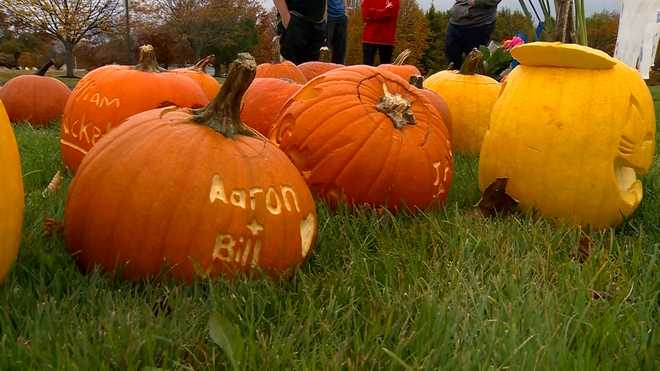 Pumpkins with victims’ names part of growing memorial outside Lewiston ...