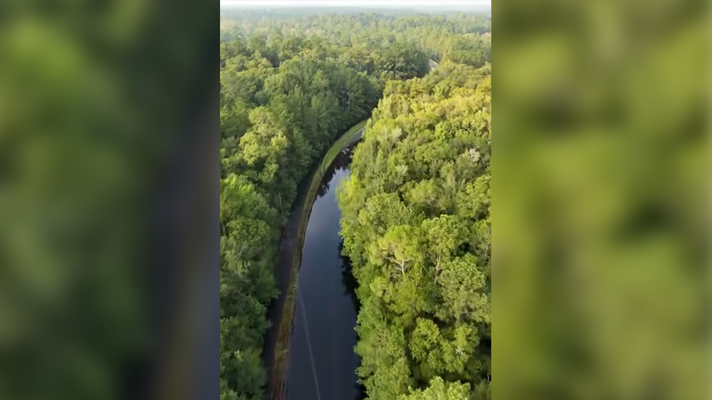 Georgia: Drone video shows flooding due to rising river waters