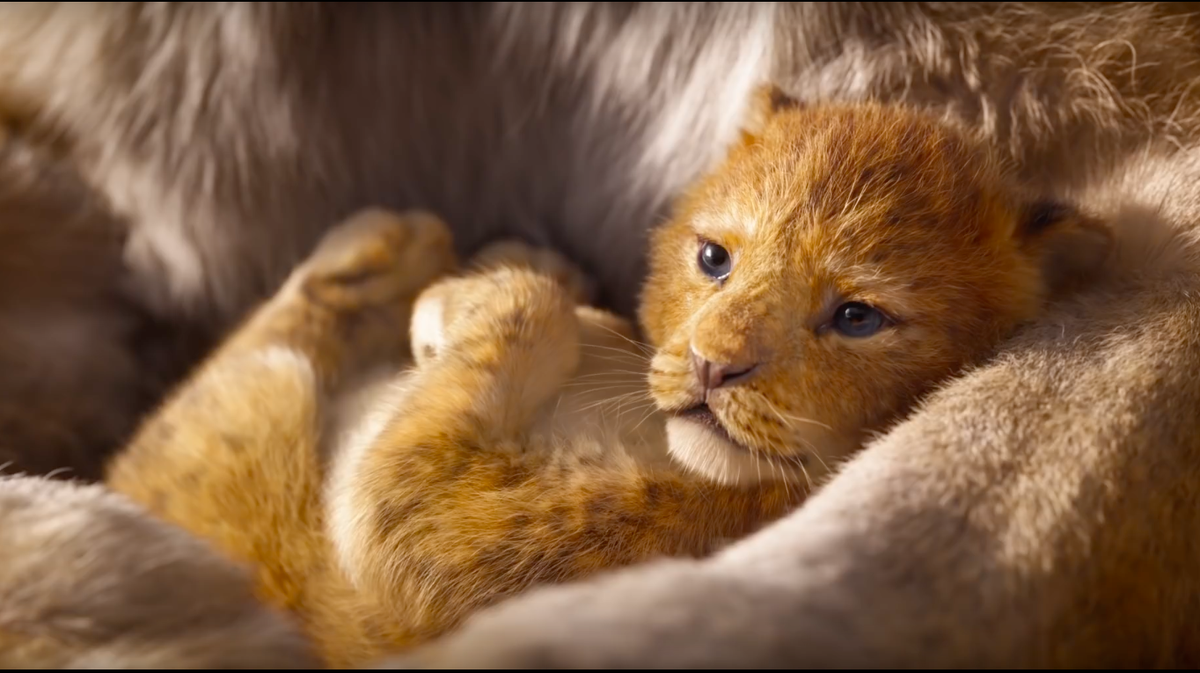 Watch First trailer released for new 'Lion King' movie