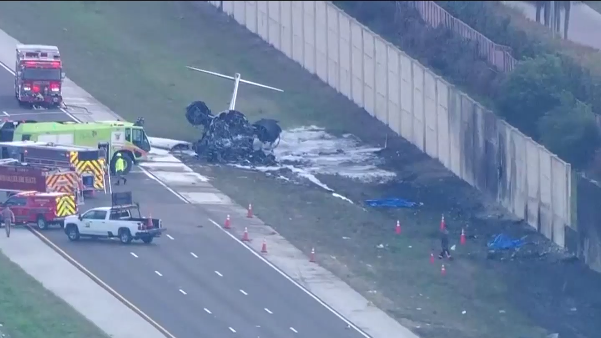 New information on survivors' escape from I-75 plane crash